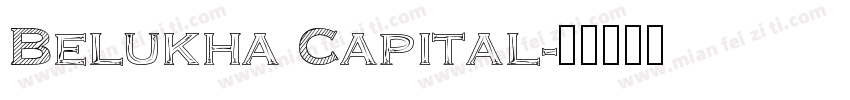 Belukha Capital字体转换